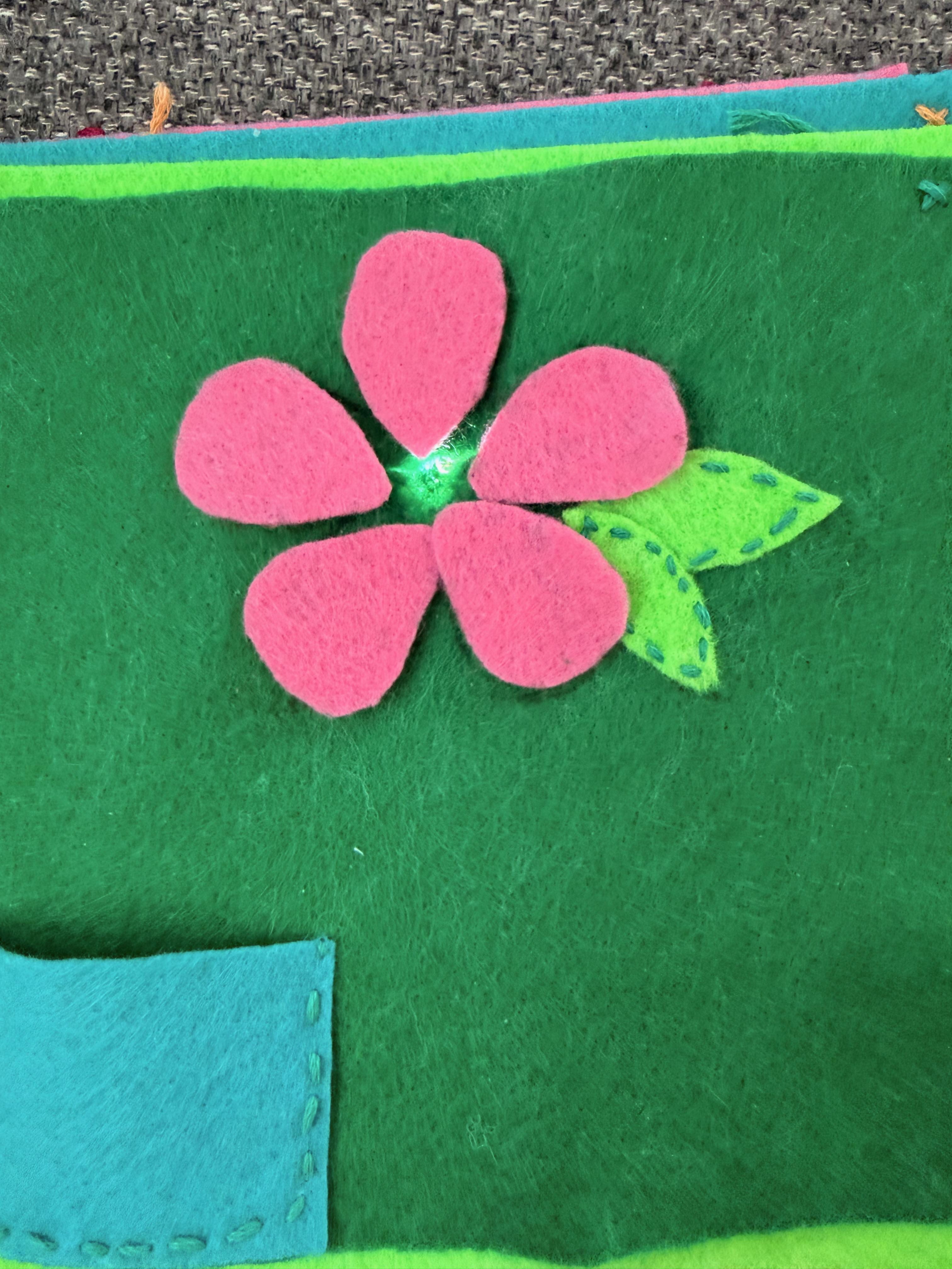 Detail of tactile features and sensory components.